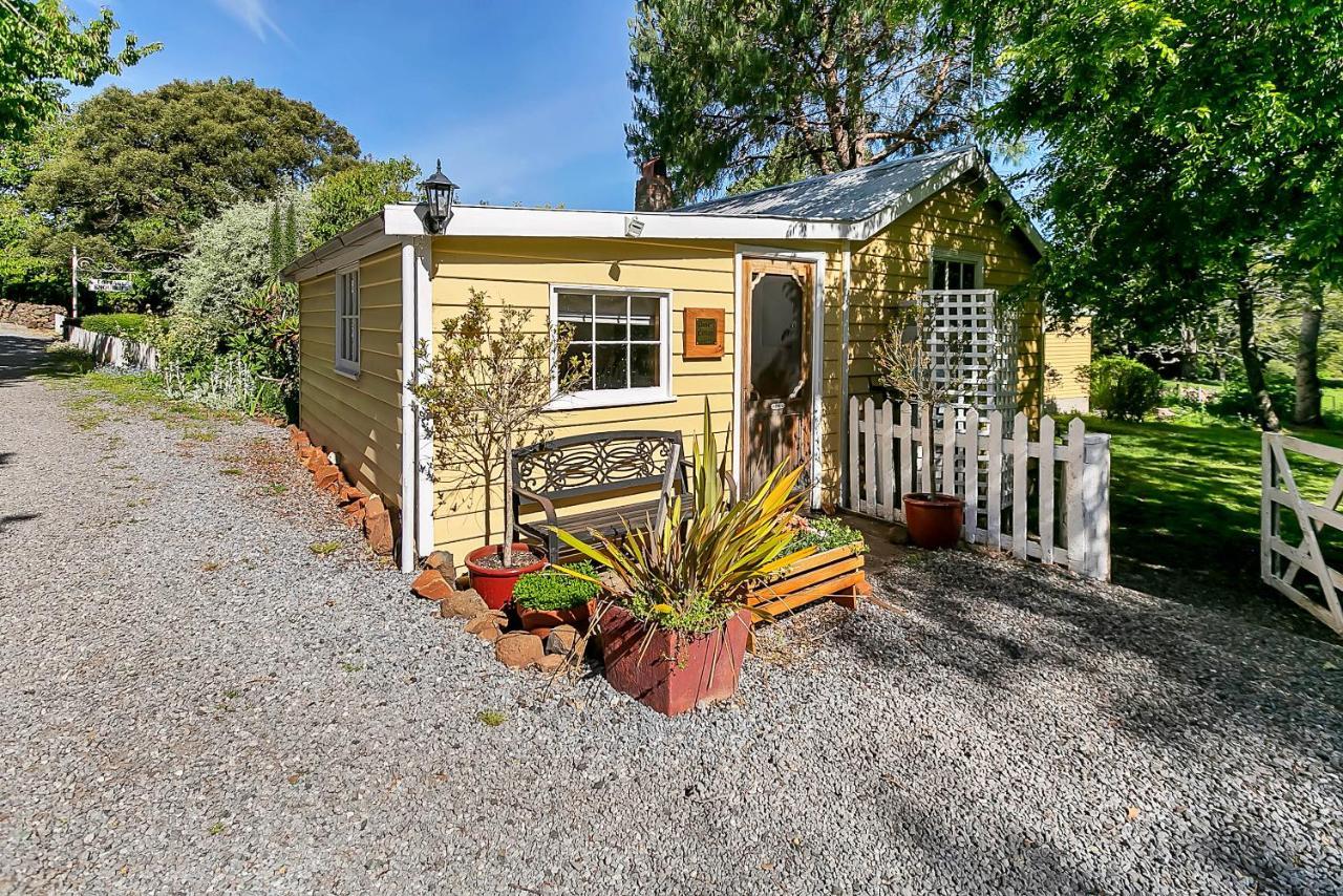Blackwood Park Cottages Mole Creek Dış mekan fotoğraf