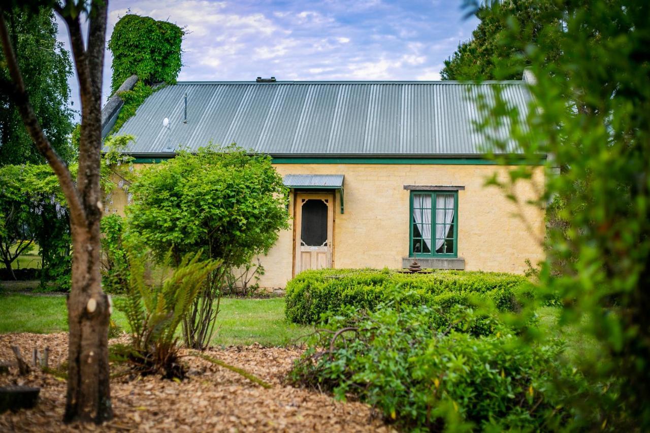Blackwood Park Cottages Mole Creek Dış mekan fotoğraf