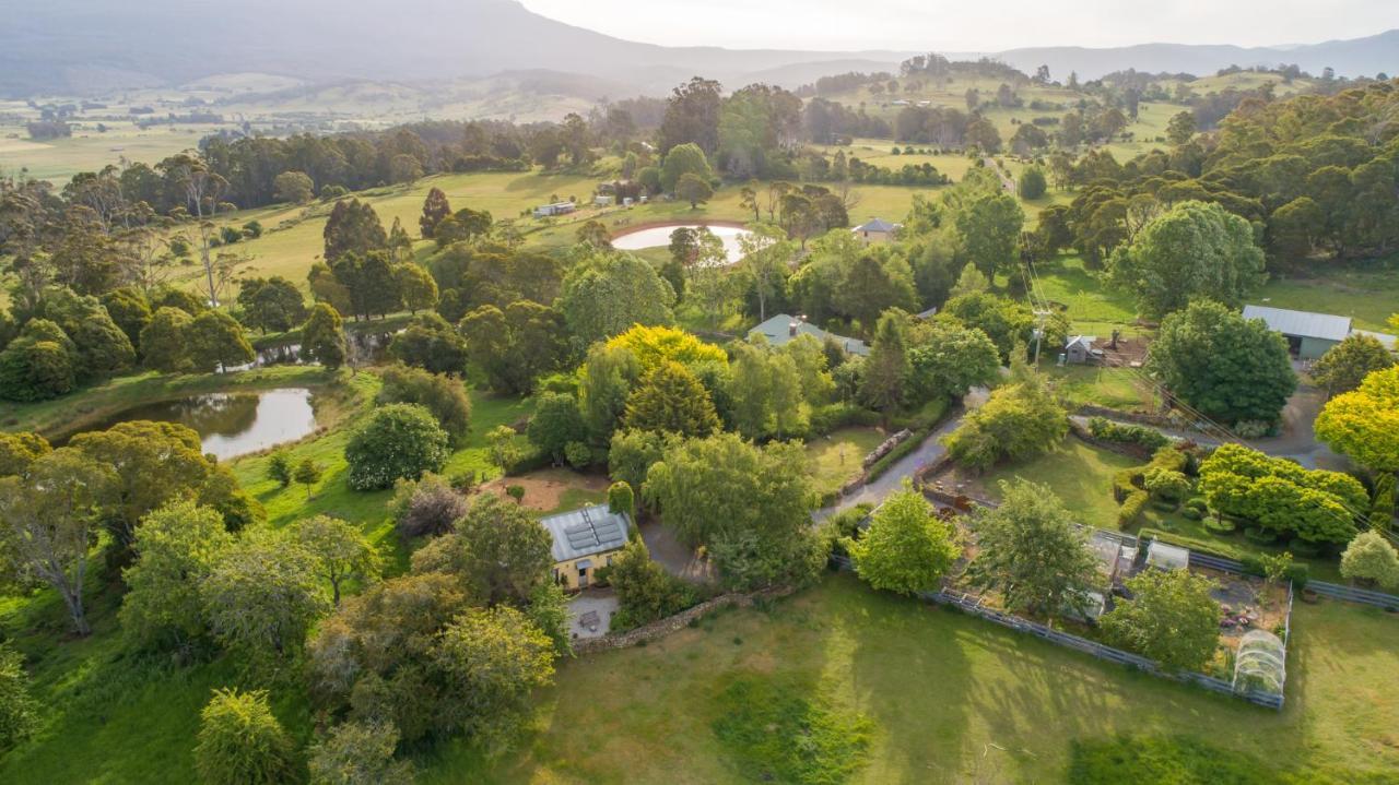 Blackwood Park Cottages Mole Creek Dış mekan fotoğraf